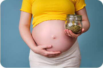 Femme enceinte tenant sa tisane personnelle selon les conseils en phytothérapie
